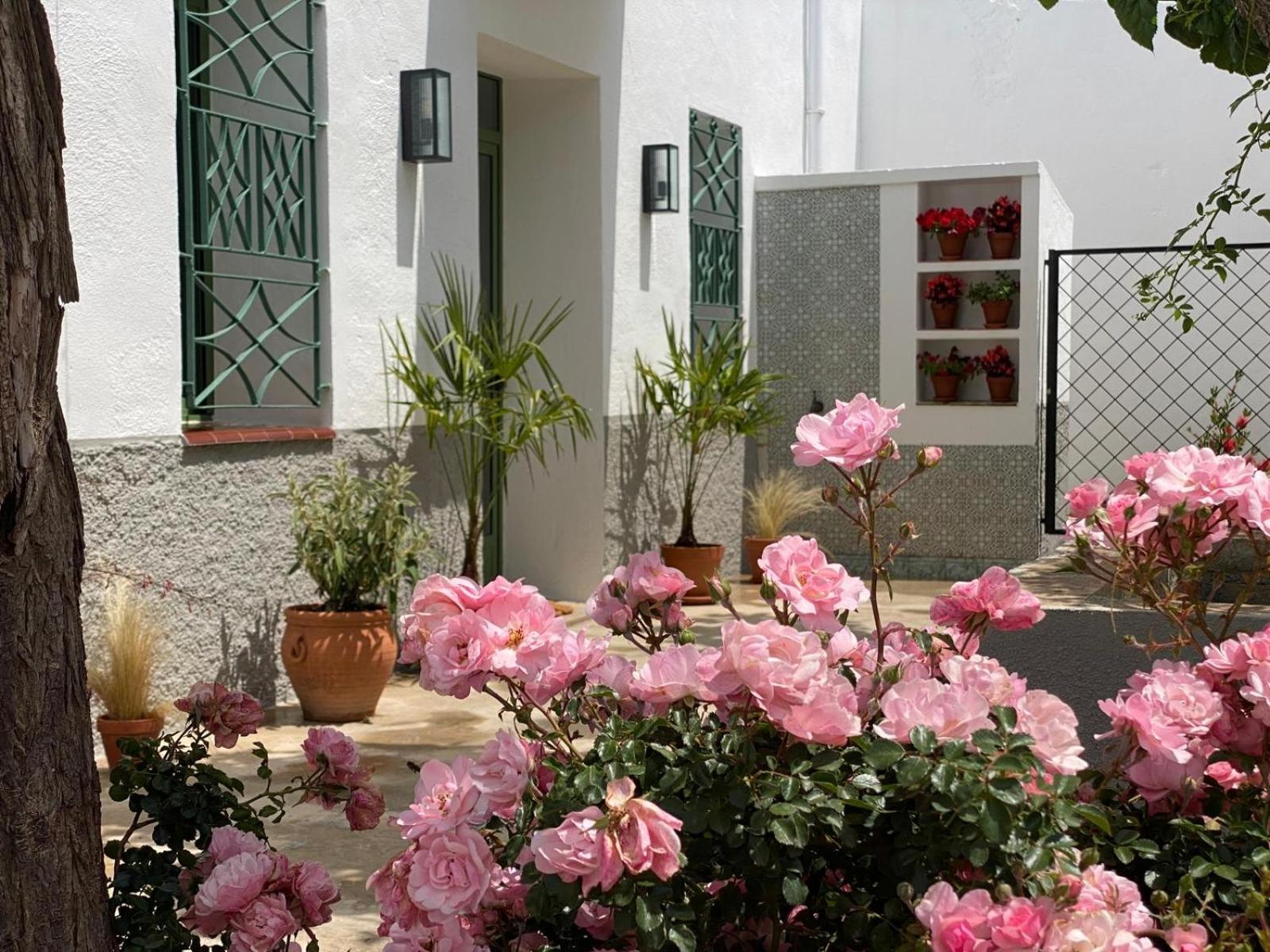 Les Filles Hotell Deltebre Exteriör bild