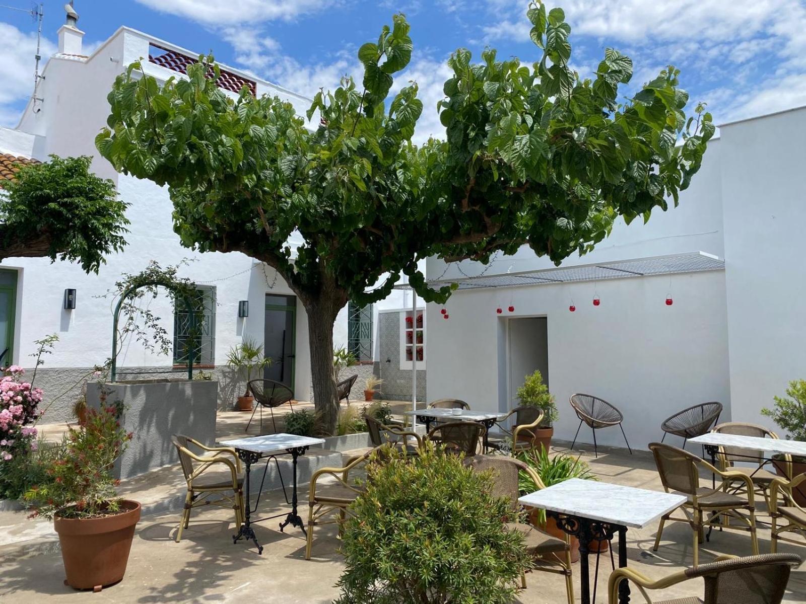 Les Filles Hotell Deltebre Exteriör bild